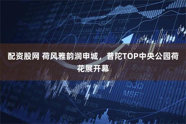 配资股网 荷风雅韵润申城，普陀TOP中央公园荷花展开幕