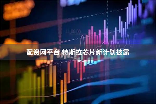 配资网平台 特斯拉芯片新计划披露