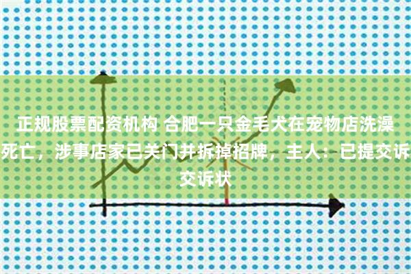 正规股票配资机构 合肥一只金毛犬在宠物店洗澡后死亡，涉事店家已关门并拆掉招牌，主人：已提交诉状