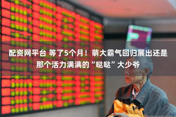 配资网平台 等了5个月！萌大霸气回归展出还是那个活力满满的“哒哒”大少爷