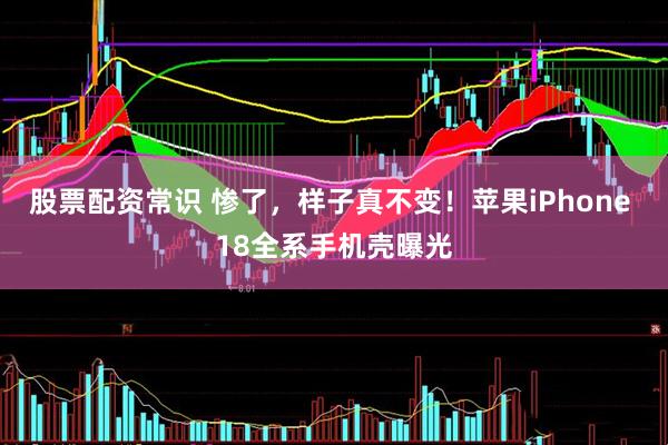 股票配资常识 惨了，样子真不变！苹果iPhone 18全系手机壳曝光